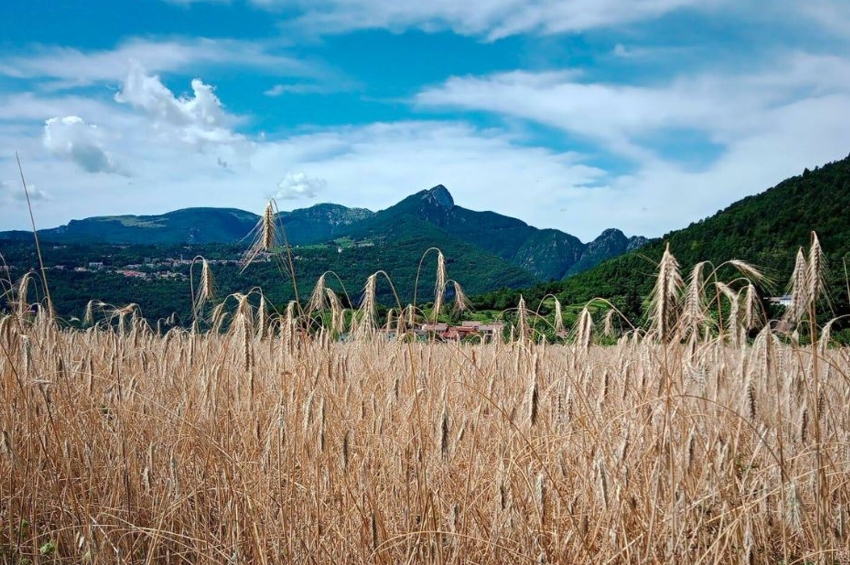 altopiano di asiago cosa fare vedere