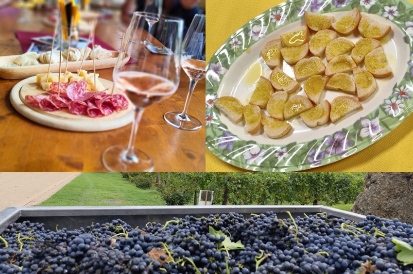 5 tour.enogastronomico barbarano mossano viart Viart